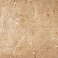 Портрет фотографа (аватар) asdfg (asdfgh)