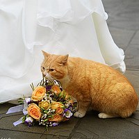 Портрет фотографа (аватар) Анастасия Грачева