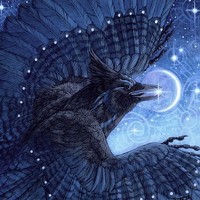 Портрет фотографа (аватар) Marina