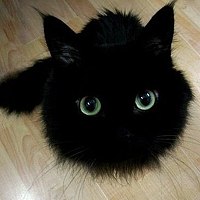 Портрет фотографа (аватар) Олег