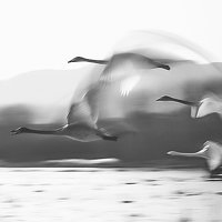 Портрет фотографа (аватар) Yunhua Zh (Use language Simplified Chinese)