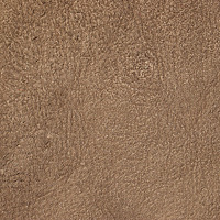 Фотография Анна (Anna) Портрет фотографа (аватар) Анна (Anna)