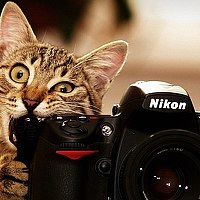 Портрет фотографа (аватар) Rus ShigapOff