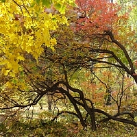 Портрет фотографа (аватар) Фотодуэт-Самара