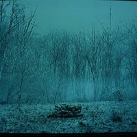 Портрет фотографа (аватар) Bondarenko Timofej (Timofej Bondarenko)