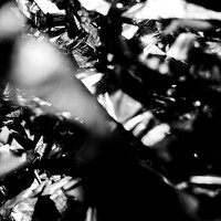 Портрет фотографа (аватар) Юрий Шумский