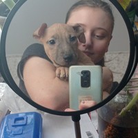 Портрет фотографа (аватар) Арина Данилова (Arina Danilova)