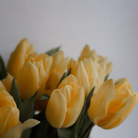 Портрет фотографа (аватар) Елена Корнякова (Elena Kornyakova)