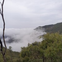 Фотография Renato Manuel Monteiro (Renato Manuel Varela monteiro) Портрет фотографа (аватар) Renato Manuel Monteiro (Renato Manuel Varela monteiro)