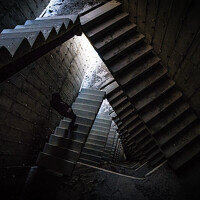 Фотография Дмитрий Борисов (Dmitry Borisov) Портрет фотографа (аватар) Дмитрий Борисов (Dmitry Borisov)