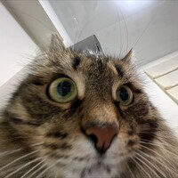 Портрет фотографа (аватар) Михаил Магазеев (Mikhail Magazeev)