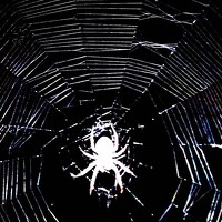 Фотография Леопольд Кудасов (Кома) Портрет фотографа (аватар) Леопольд Кудасов (Кома)