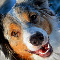 Фотография Zaneta Konradova (Žaneta Konrádová) Портрет фотографа (аватар) Zaneta Konradova (Žaneta Konrádová)