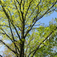 Портрет фотографа (аватар) Даша Юки (Daria Yuki)