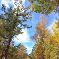 Портрет фотографа (аватар) Пешков Егор (Peshkov Egor)