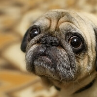 Портрет фотографа (аватар) Владислав Богданов (Vlad Bogdanov)