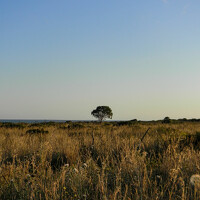 Портрет фотографа (аватар) Barbara Pindo