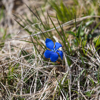 Портрет фотографа (аватар) Мария Казакова (Maria Kazakova)