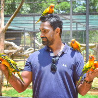 Портрет фотографа (аватар) Chathuranga Deshapriya (චතුරංග දේශප්‍රිය)