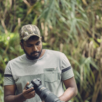 Портрет фотографа (аватар) Livines Annamalai