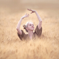 Портрет фотографа (аватар) talia chen