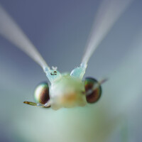 Портрет фотографа (аватар) Javier Raigal (Javier Raigal Vazquez)