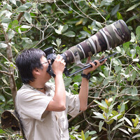 Фотография LIEW WENG KEONG Портрет фотографа (аватар) LIEW WENG KEONG