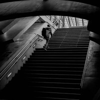 Портрет фотографа (аватар) Dias paulo (Paulo Jorge Marques Dias)