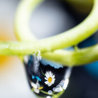 Портрет фотографа (аватар) Арсен Магомедов (Arsen Magomedov)