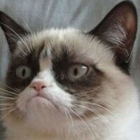 Портрет фотографа (аватар) Дмитрий Шевченко (Dmitriy Shevchenko)