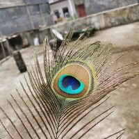 Портрет фотографа (аватар) Anil Yadav (Anil Kumar Yadav)