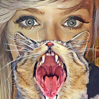 Портрет фотографа (аватар) Wyvernheart Photography