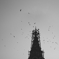 Портрет фотографа (аватар) Василий Кучеренко (Vasiliy Kucherenko)