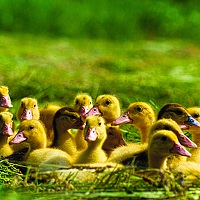 Портрет фотографа (аватар) LUCJAN