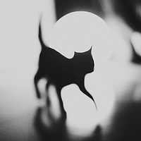 Портрет фотографа (аватар) Наталья Матва