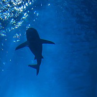 Портрет фотографа (аватар) Василий Вараксин (Vasiliy Varaksin)