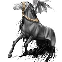 Портрет фотографа (аватар) Diana