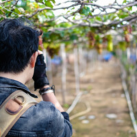 Портрет фотографа (аватар) Thanh Tran (Tran Ngoc Thanh)