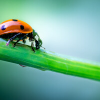 Портрет фотографа (аватар) stéphane gonzalez (Stephane Gonzalez)