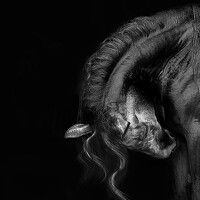 Портрет фотографа (аватар) Любовь Похабова (Lyubov Pokhabova)