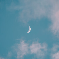 Портрет фотографа (аватар) Chau Nguyen (Nguyen Minh Chau)