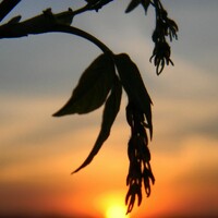 Портрет фотографа (аватар) Шевченко Алексей (Shevchenko Alexey)