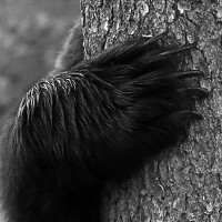 Портрет фотографа (аватар) Ene Mägi