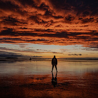 Портрет фотографа (аватар) Eddie Lee