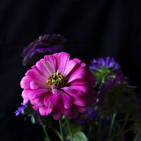 Портрет фотографа (аватар) Елена Елизарьева (Elena Elizareva)