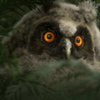 Портрет фотографа (аватар) Zdenek Kosina (Zdeněk Kosina)