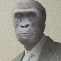 Фотография Rhyme Tologist (Rhymetologist) Портрет фотографа (аватар) Rhyme Tologist (Rhymetologist)