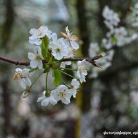 Портрет фотографа (аватар) Антонина Клементьева (Klementeva Antonina)