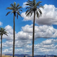 Портрет фотографа (аватар) neda heidari (ندا حیدری)