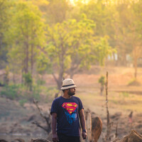 Портрет фотографа (аватар) Partha Mahanta